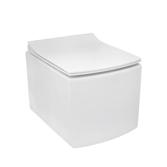 Contemporary Floor-Standing Toilet